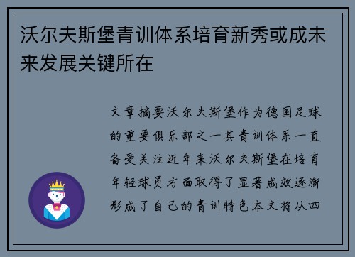 沃尔夫斯堡青训体系培育新秀或成未来发展关键所在